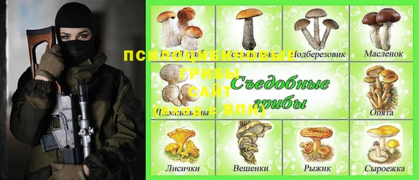 крисы Богородск